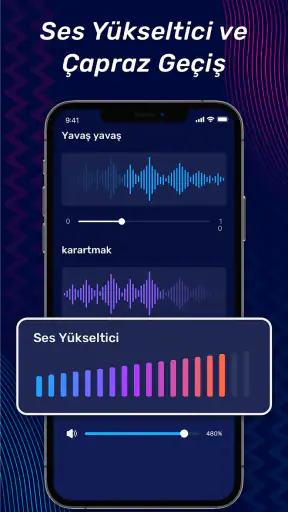 Müzik Editörü, Ses Editörü