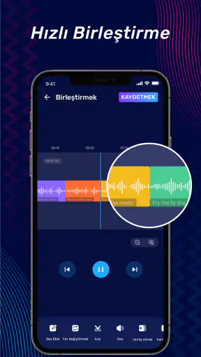 Müzik Editörü, Ses Editörü