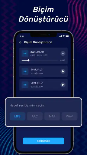 Müzik Editörü, Ses Editörü