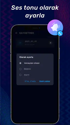 Müzik Editörü, Ses Editörü