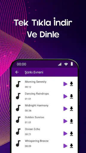 Müzik indirme programı: MP3