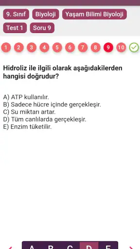 OGM Materyal Soru Bankası
