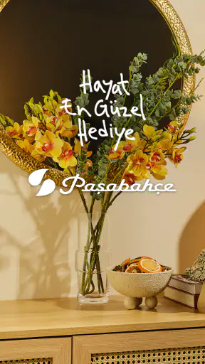 Paşabahçe