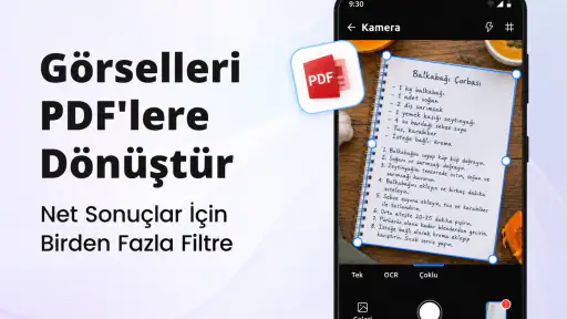 PDF Okuyucu, Düzenleyici
