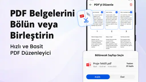 PDF Okuyucu, Düzenleyici