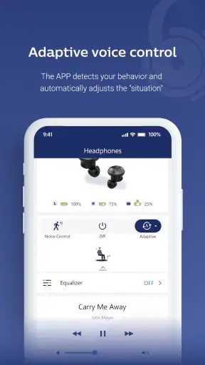 Philips Headphones
