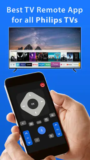 Philips TV Kumandası