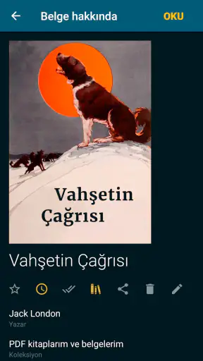 ReadEra kitap okuyucu pdf epub