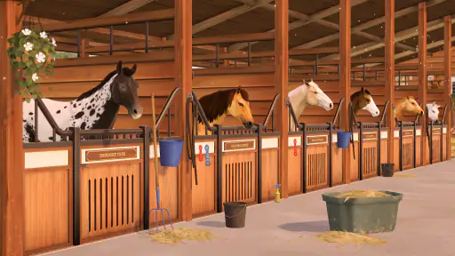 Rival Stars Horse Racing