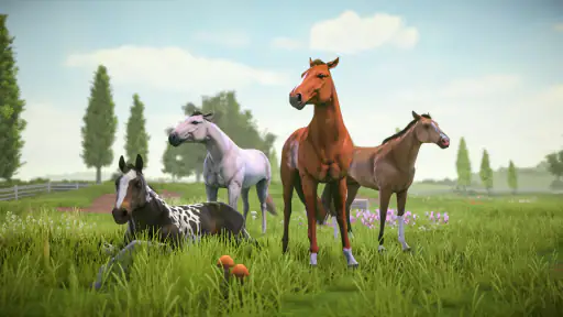 Rival Stars Horse Racing