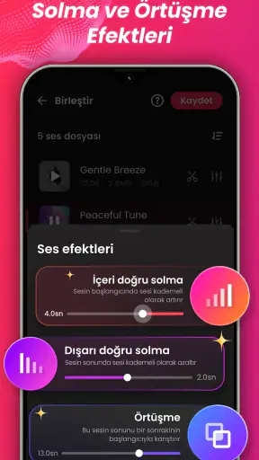 Ses Editörü, Müzik Editörü