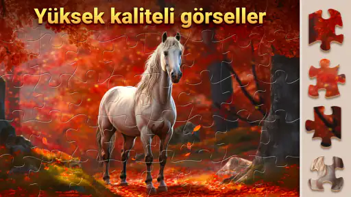Sihirli Yapbozlar - Puzzles