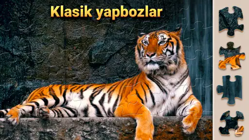 Sihirli Yapbozlar - Puzzles