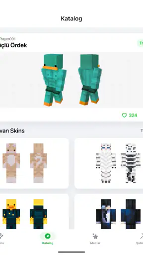 Skinler Editörü - 3D Yapımcısı