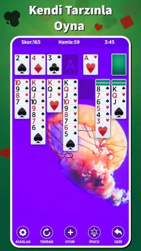 Solitaire İnternetsiz Türkçe