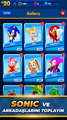 Sonic Dash Run
