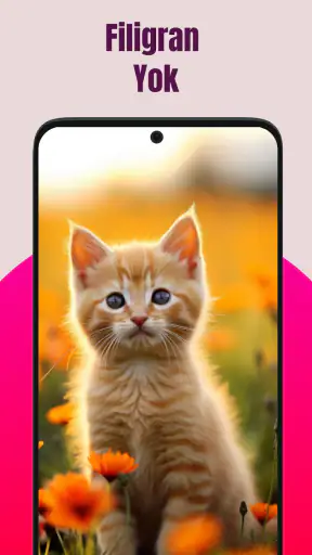 SSS: TT Video Downloader HD