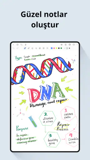StarNote: Not Uygulaması & PDF
