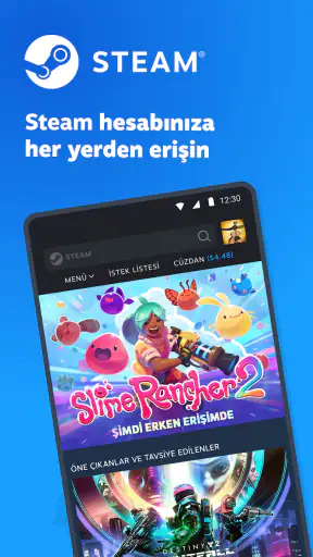 Steam
