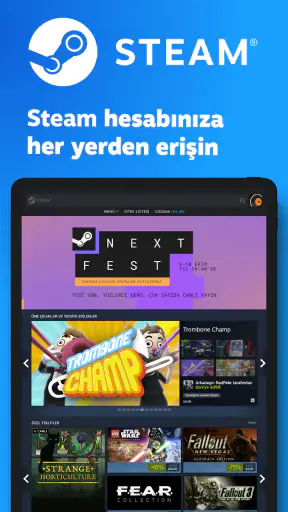 Steam