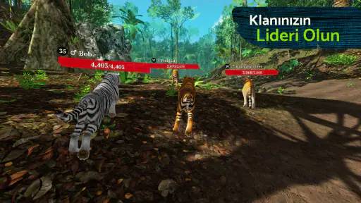 The Tiger