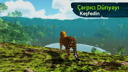 The Tiger