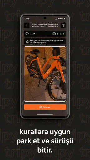 Tripy