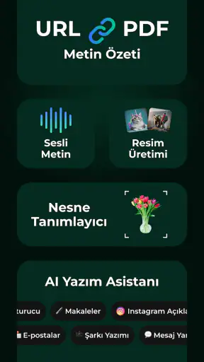 Türkçe Yapay Zeka - Chat: AI!