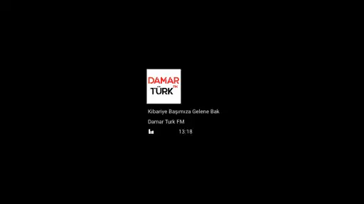 TV'de Radyo