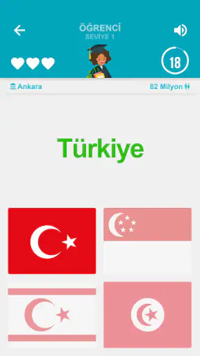 Ülke Bayrakları