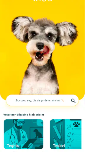 Vetopsi