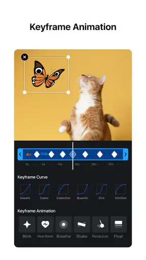 VN: Foto & Video Düzenleyici