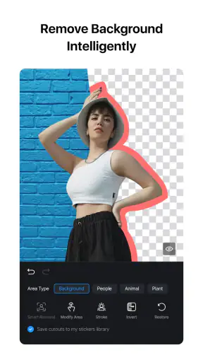 VN: Foto & Video Düzenleyici