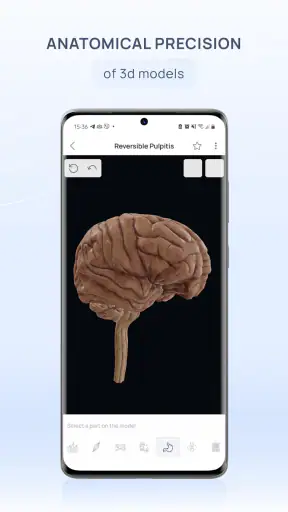 VOKA 3D Anatomi ve Patoloji