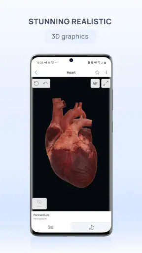 VOKA 3D Anatomi ve Patoloji