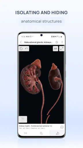 VOKA 3D Anatomi ve Patoloji