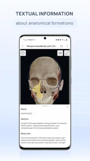 VOKA 3D Anatomi ve Patoloji
