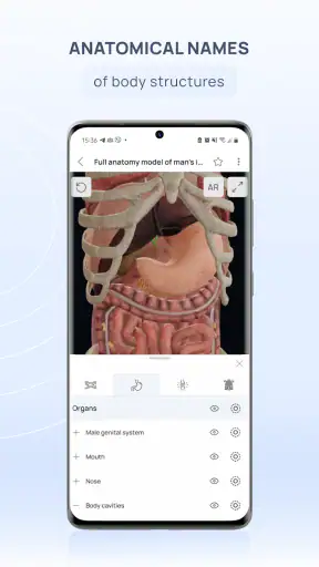VOKA 3D Anatomi ve Patoloji