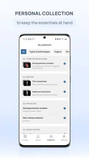 VOKA 3D Anatomi ve Patoloji