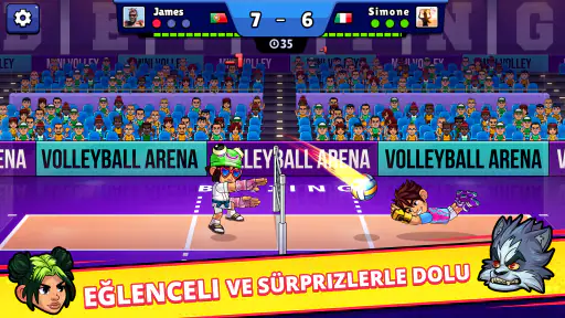 Volleyball Arena
