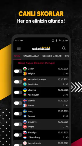 Webaslan - Galatasaray haber