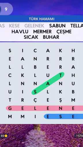 Words of Wonders: Search
