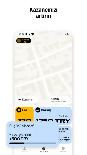 Yandex Pro