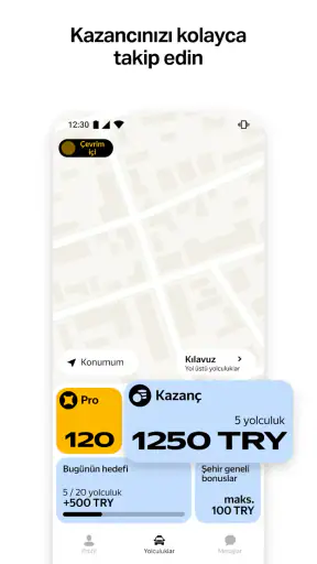 Yandex Pro