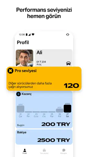 Yandex Pro