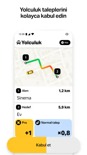 Yandex Pro