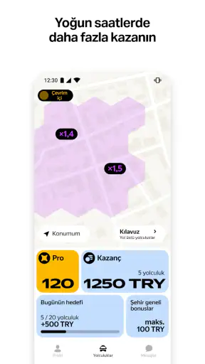 Yandex Pro