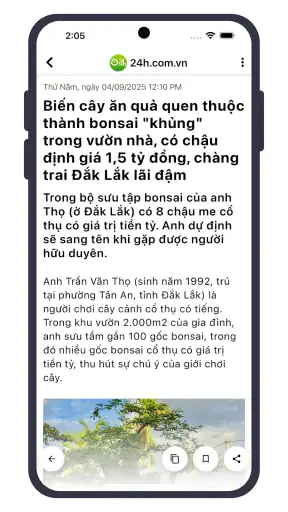 24h: Bóng đá, Tin tức