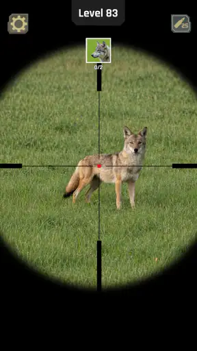 Animal Hunter: Wild Shooting