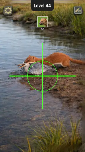 Animal Hunter: Wild Shooting